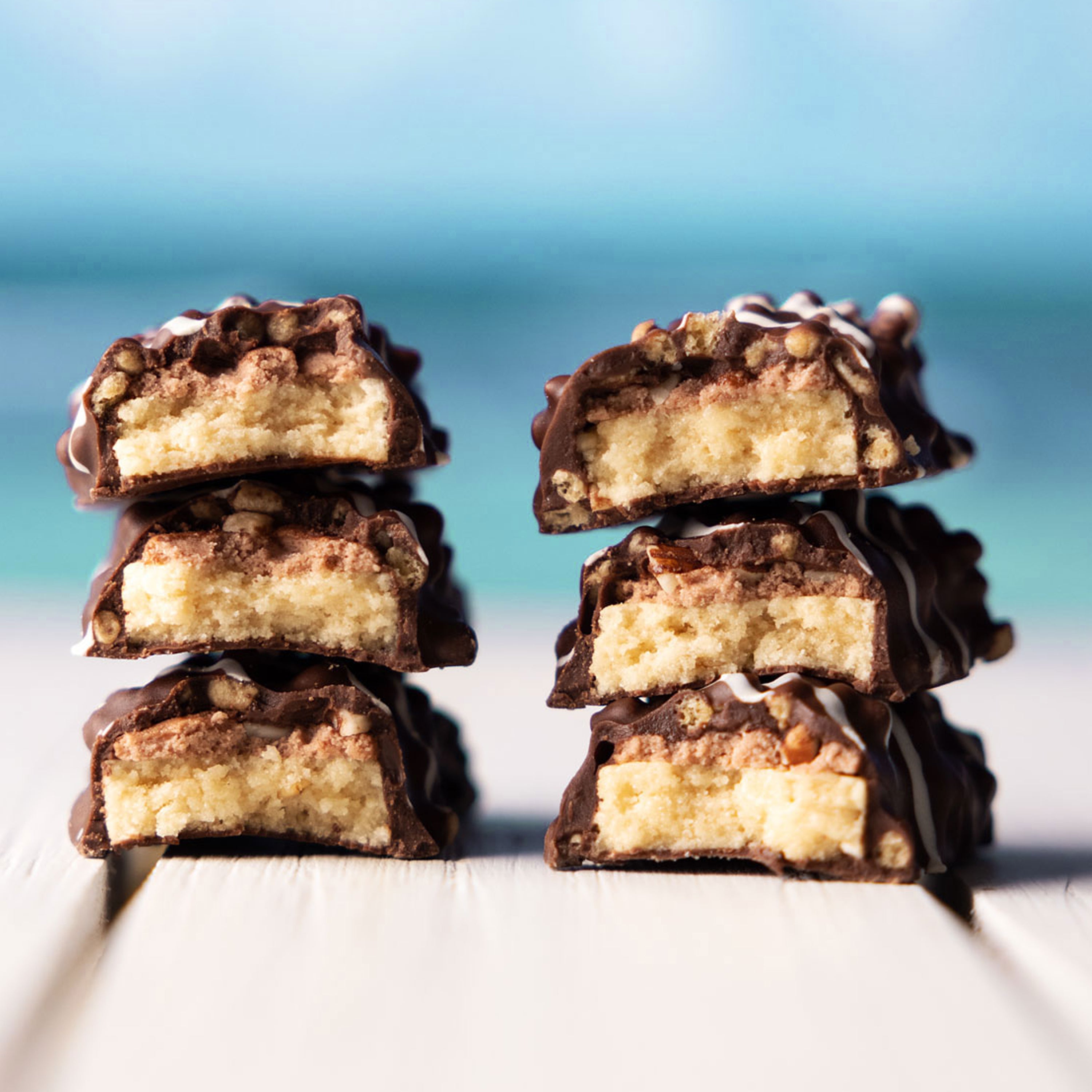 Protein Bars - Chocolate Coconut Almond - 9 Bars